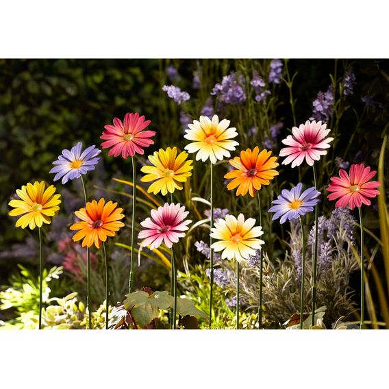 Garden Gear Metal Daisy Stake Set of Six